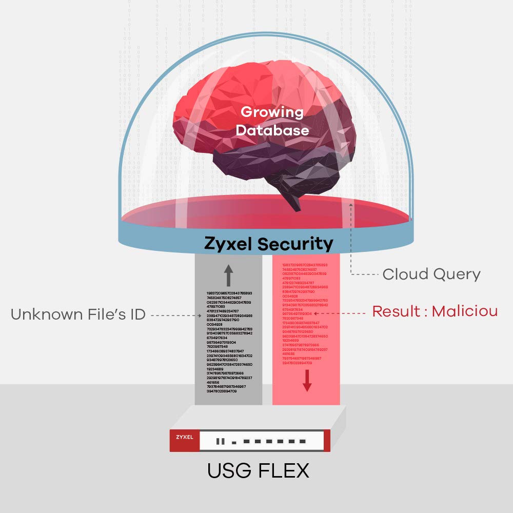 Zyxel USGFLEX500-EU0101F Pare-feu haute performance avec support VPN