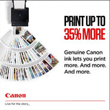 CANON 1LB CRG PG-560 Black Ink Cartridge
