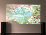 OPTOMA HD146X Projector 1080p 3600lm 30.000:1 3D Support HDMI USB-A Audio 3.5mm