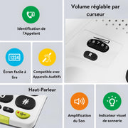 Doro Phone Easy 312Cs/White
