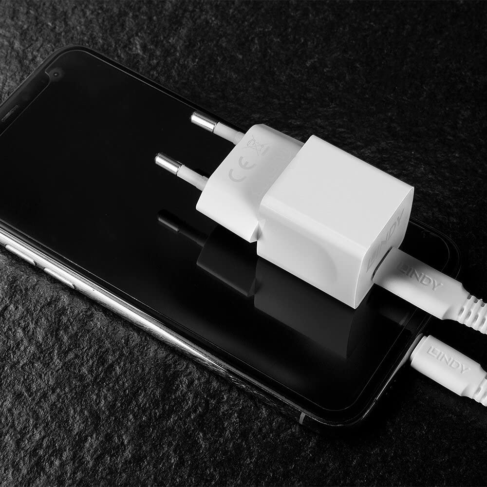 LINDY 20W Type C PD Charger EU Plug