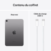 iPad Mini 2024 Wi-Fi 256GB Space Gray