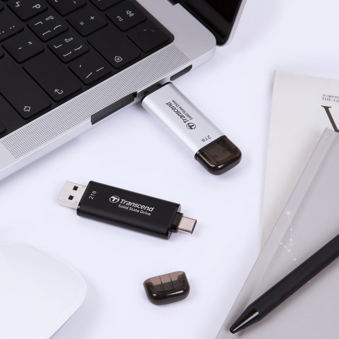 TRANSCEND ESD310S 1To External SSD USB 10Gbps Type C/A Silver
