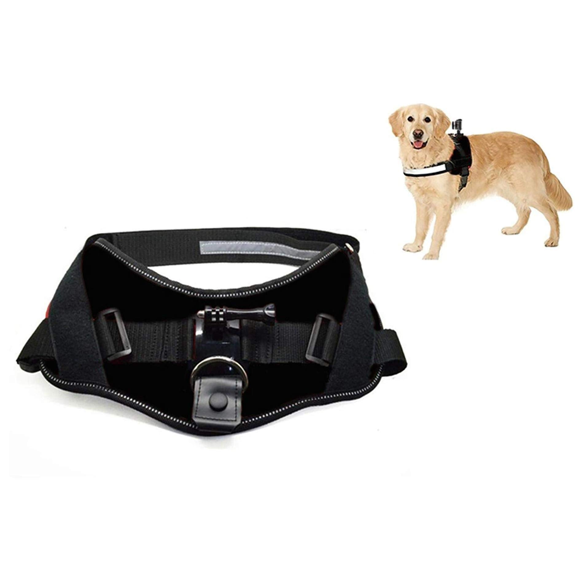 ACTIVEON 360 Dog Vest
