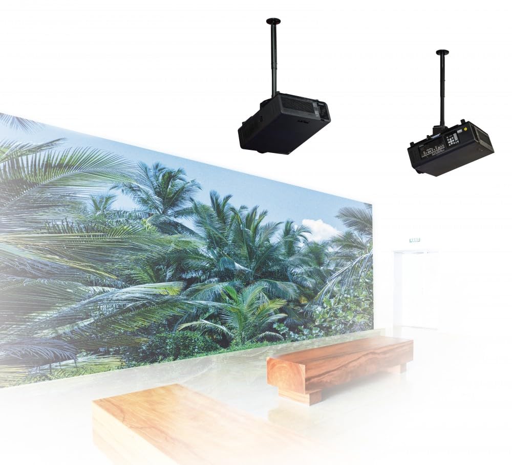 SYSTEM 2 - Heavy Duty Projector Ceiling