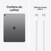 iPad Air 13 M4 WiFi Cl 256GB Space Grey