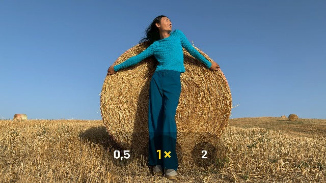 Apple iPhone 15 15,5 cm (6.1") Double SIM iOS 17 5G USB Type-C 256 Go Noir