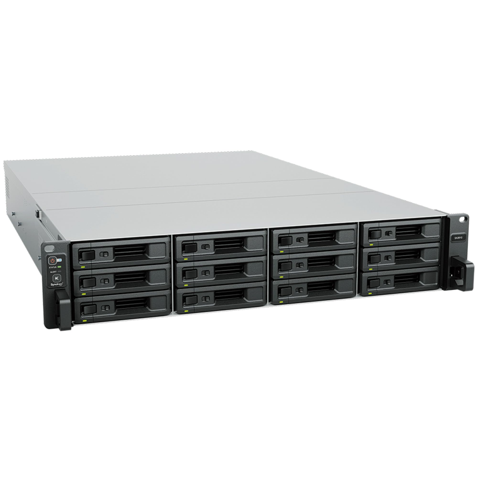 SYNOLOGY SA3610 12-Bay Rack-Flashstation Intel Xeon D-1567