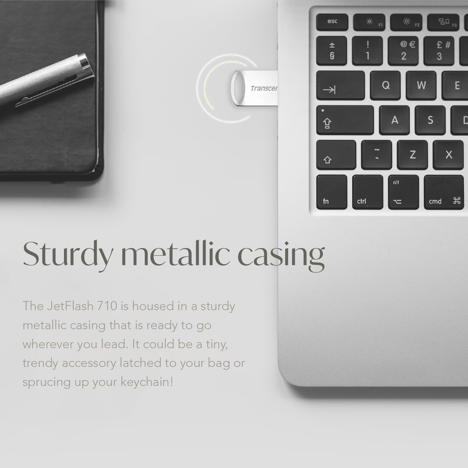 TRANSCEND 256Go USB 3.1 Pen Drive Silver
