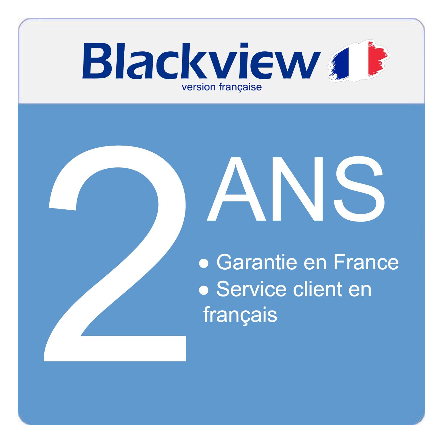 Blackview Active 8 Pro (Double Sim - Ecran 10.36'' - 4G/LTE - 256 Go, 8 Go RAM) Noir