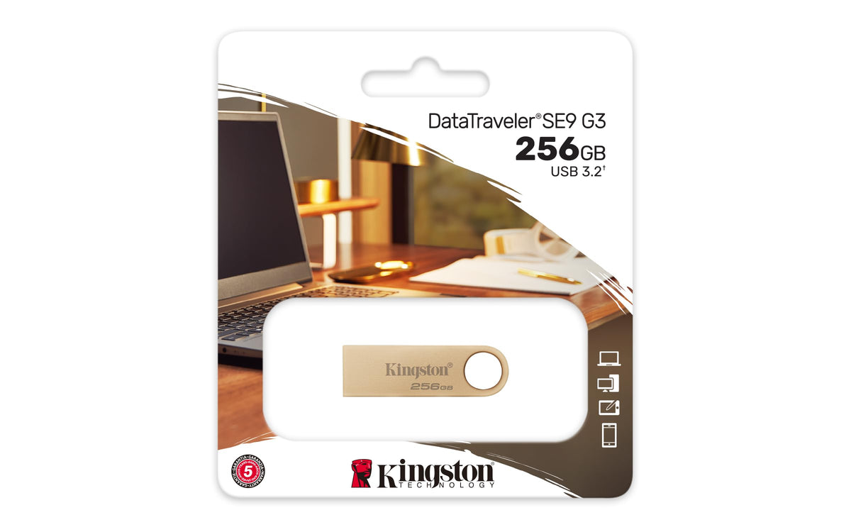 KINGSTON 256Go 220Mo/s Metal USB 3.2 Gen 1 DataTraveler SE9 G3
