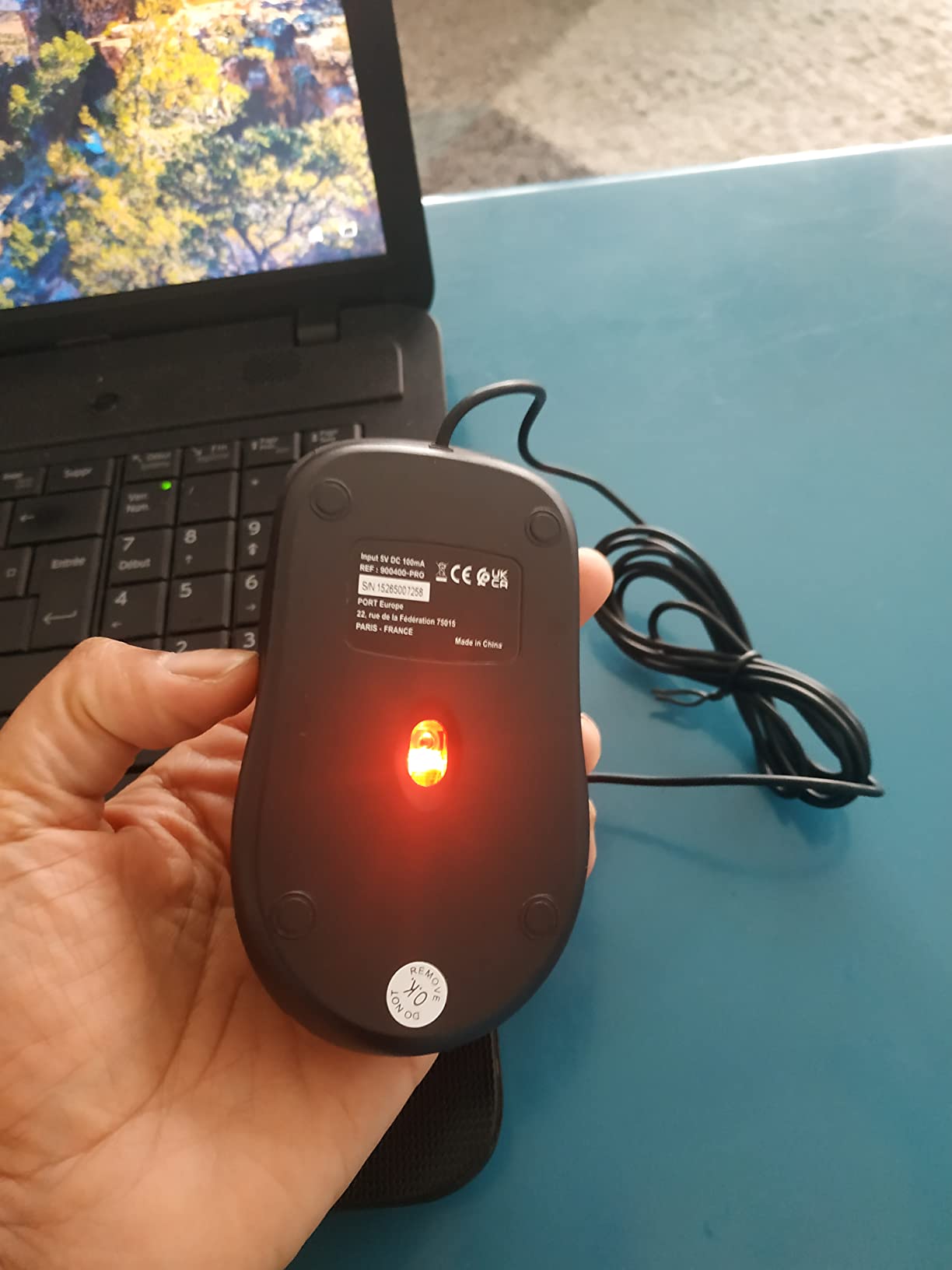 PORT DESIGNS Mouse Office Budget - Pro