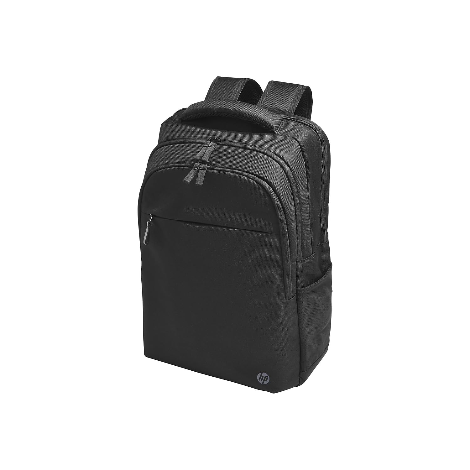 HP Prof 17.3 Laptop Bckpck