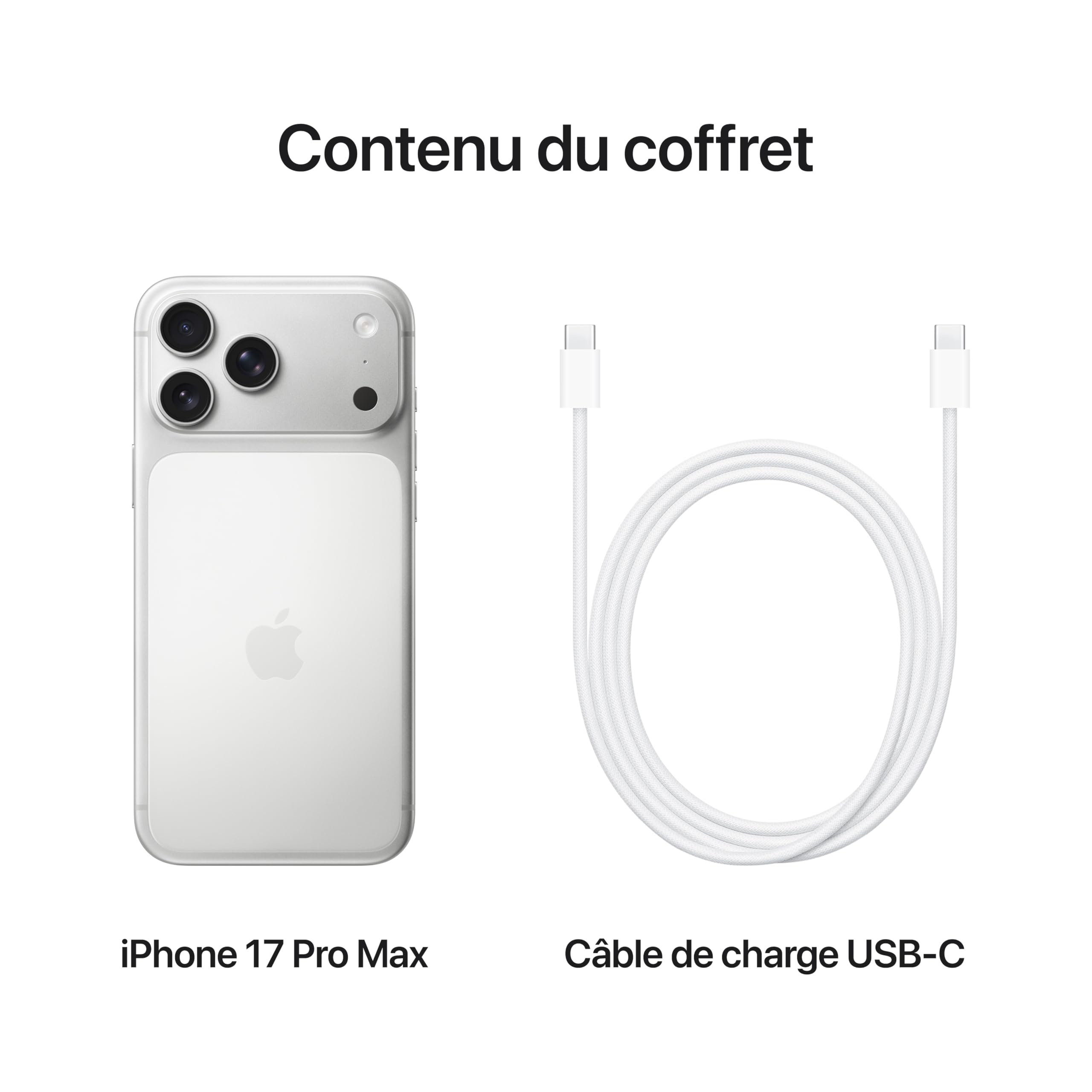 iPhone 17 Pro Max Silver 256GB