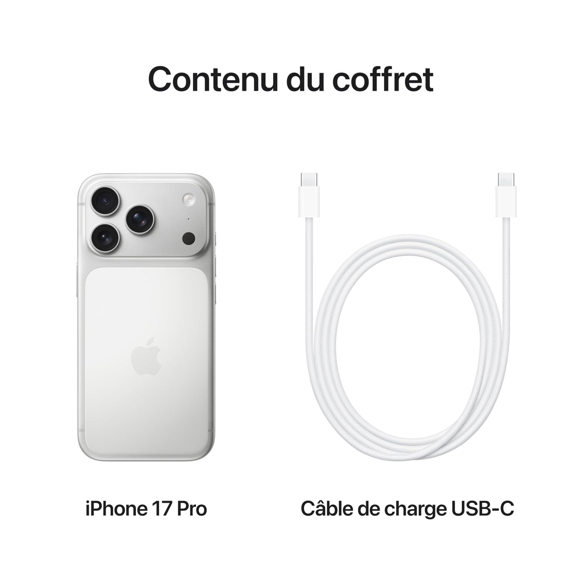 iPhone 17 Pro Silver 1TB