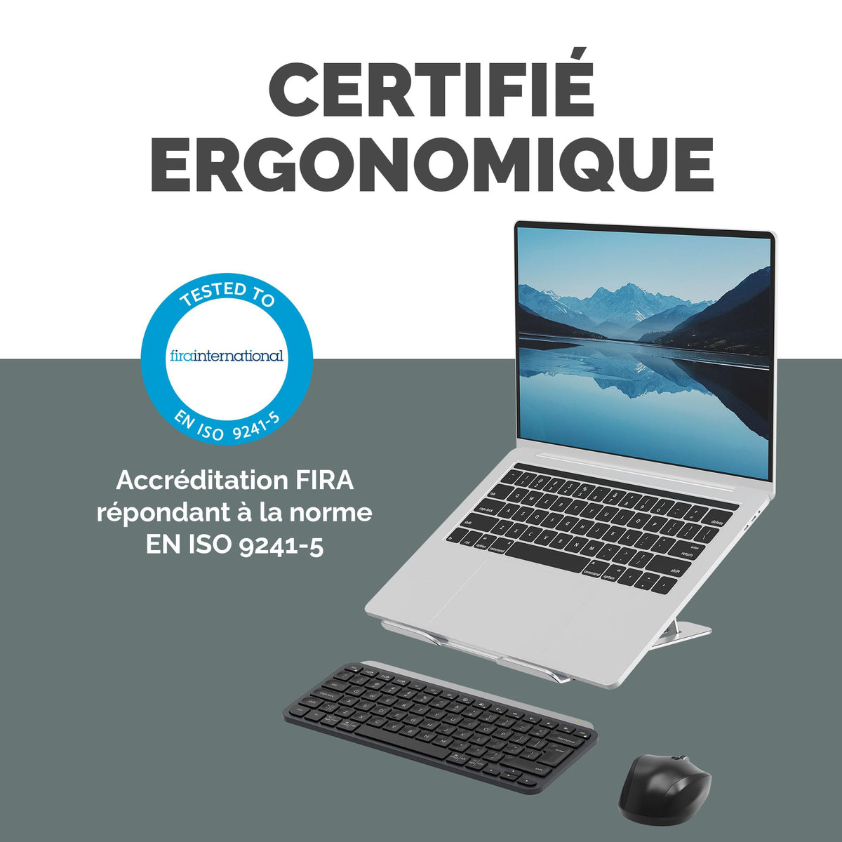 FELLOWES SUPPORT ORDINATEUR PORTABLE LAPTOP ARGENT ALUMNIA