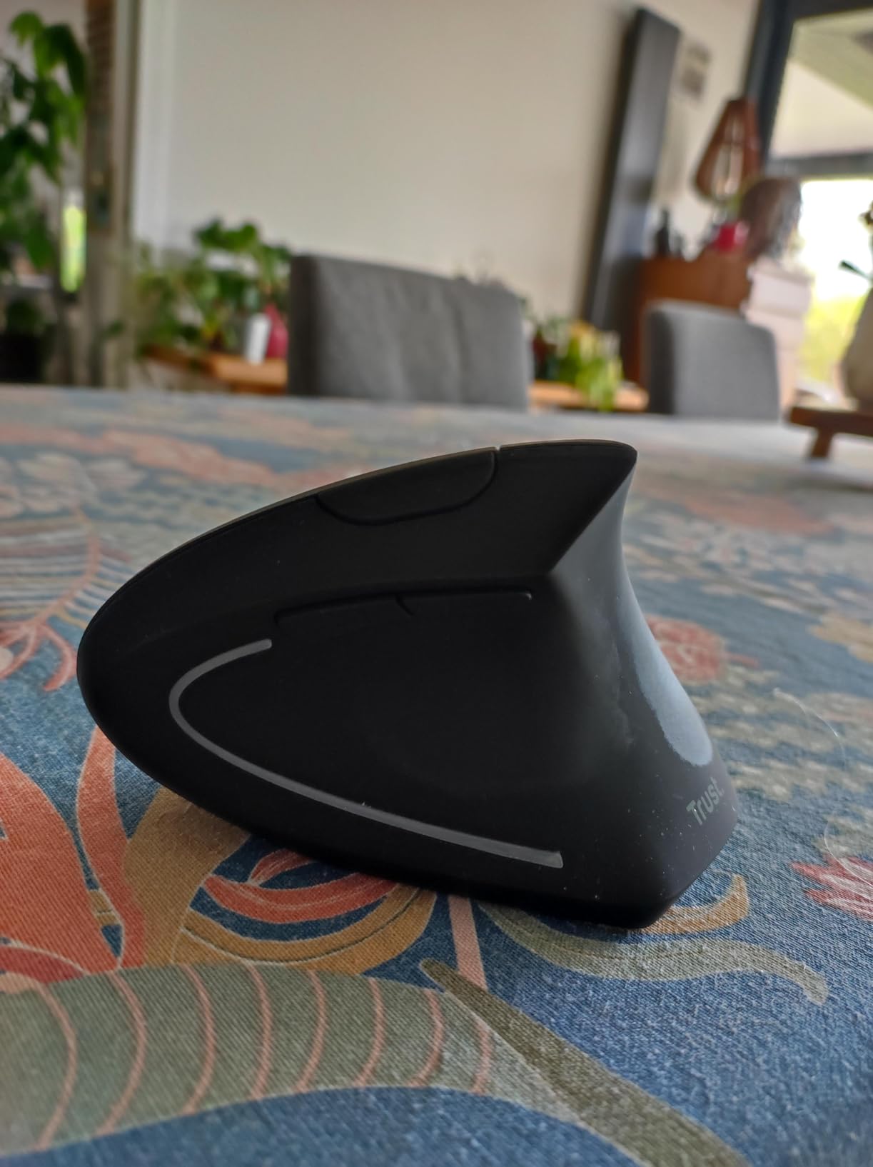 TRUST Souris sans fil ergonomique VERTO - Noire