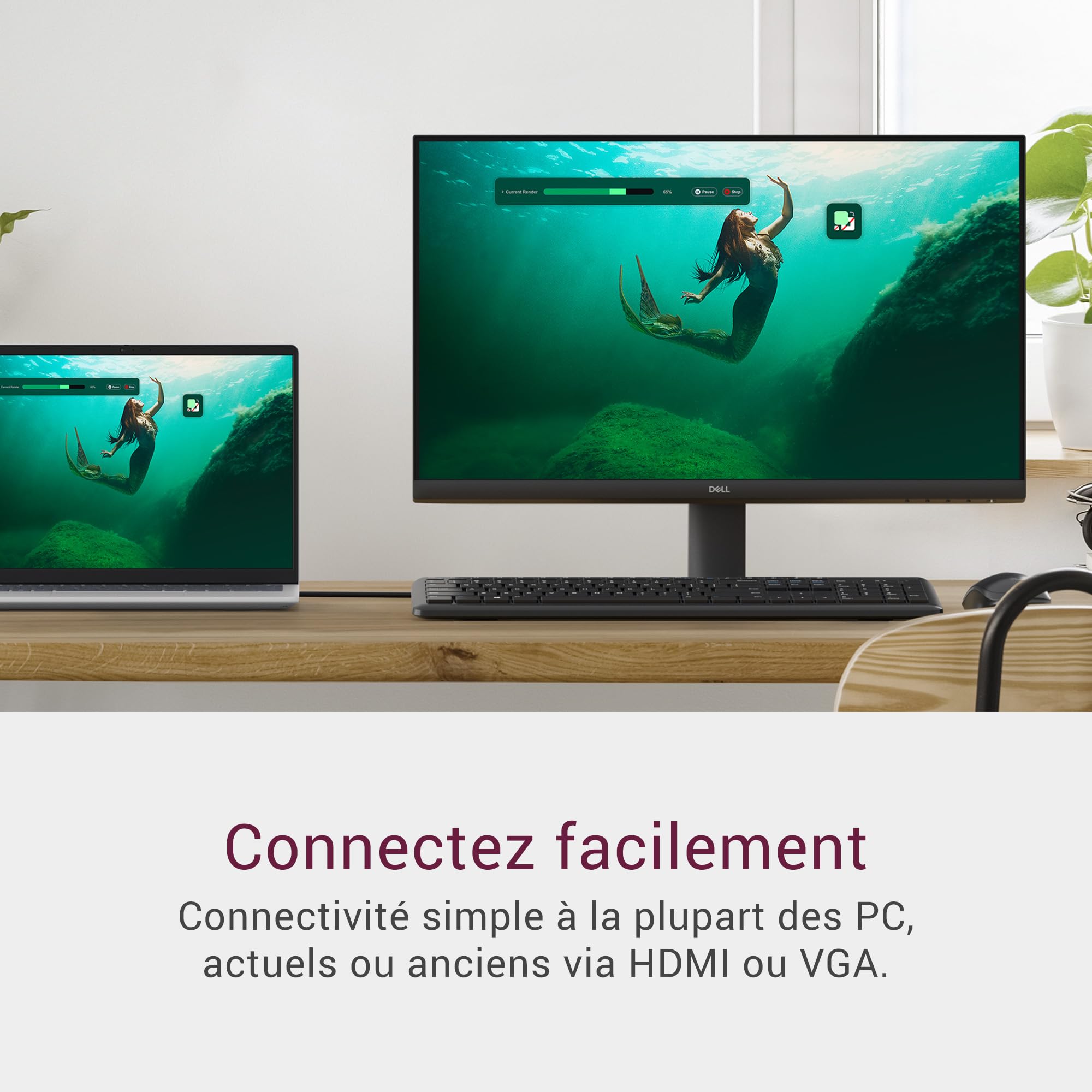 DELL 24" SE2425HM FHD Monitor