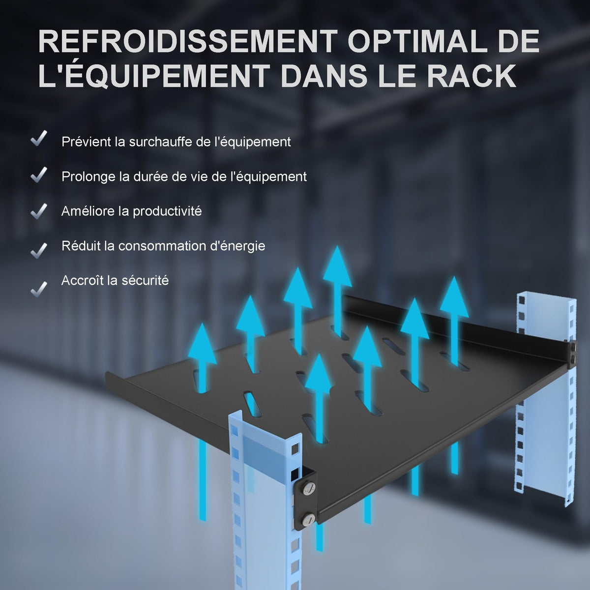 "Extralink SHELF 1U FOR WALL CABINETS 19\"" 250MMX1U BLACK Étagere"