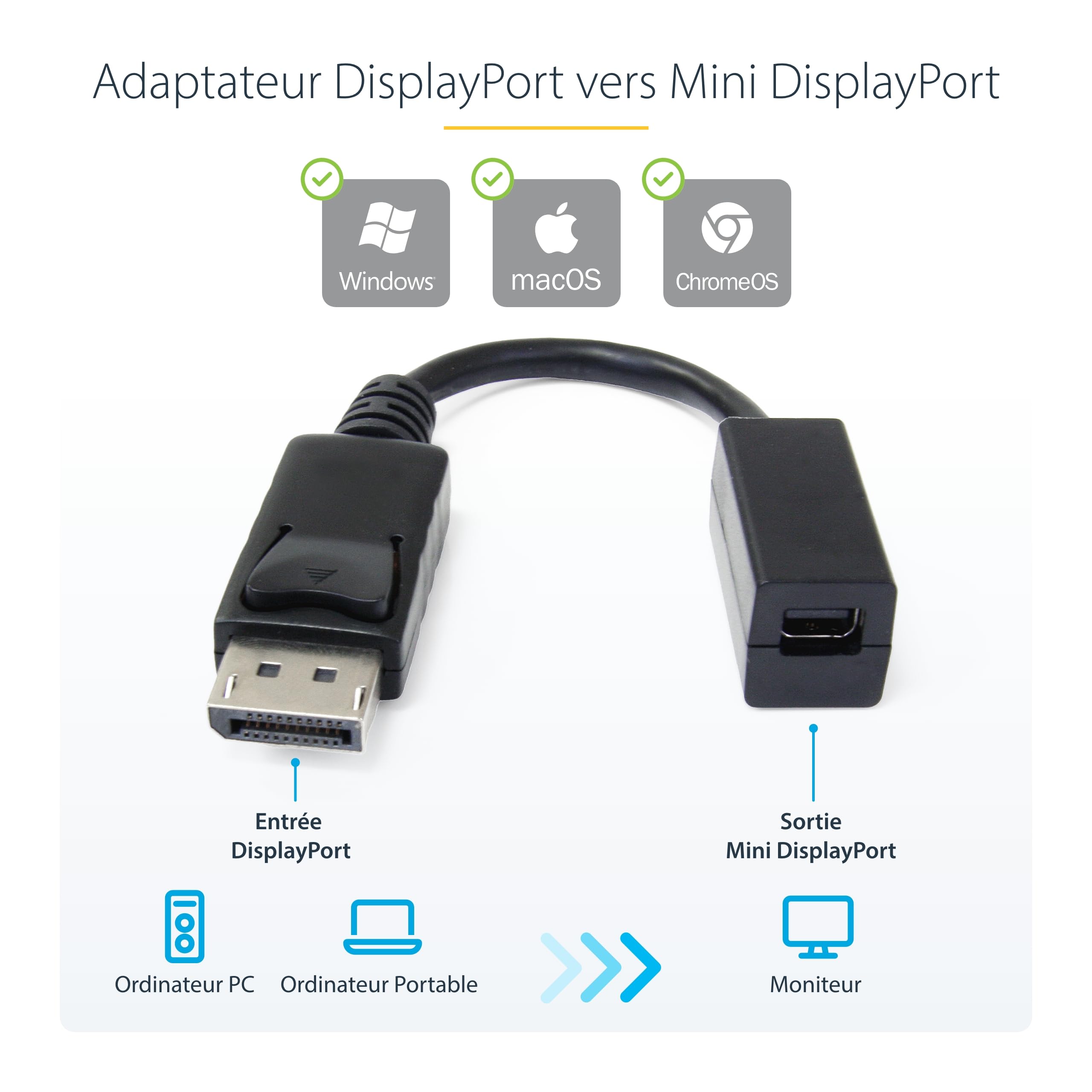 DisplayPort to Mini DisplayPort Adapter
