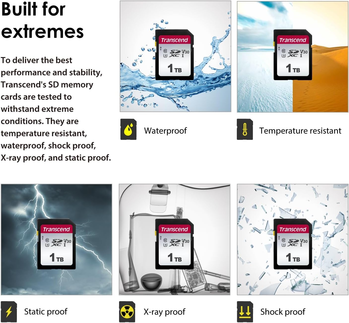 TRANSCDEND Carte mémoire SDHC 32 Go