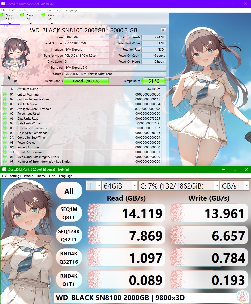 WD Black 1To SN8100 PCIe 5.0x4 NVMe M.2 SSD POWERED BY SANDISK
