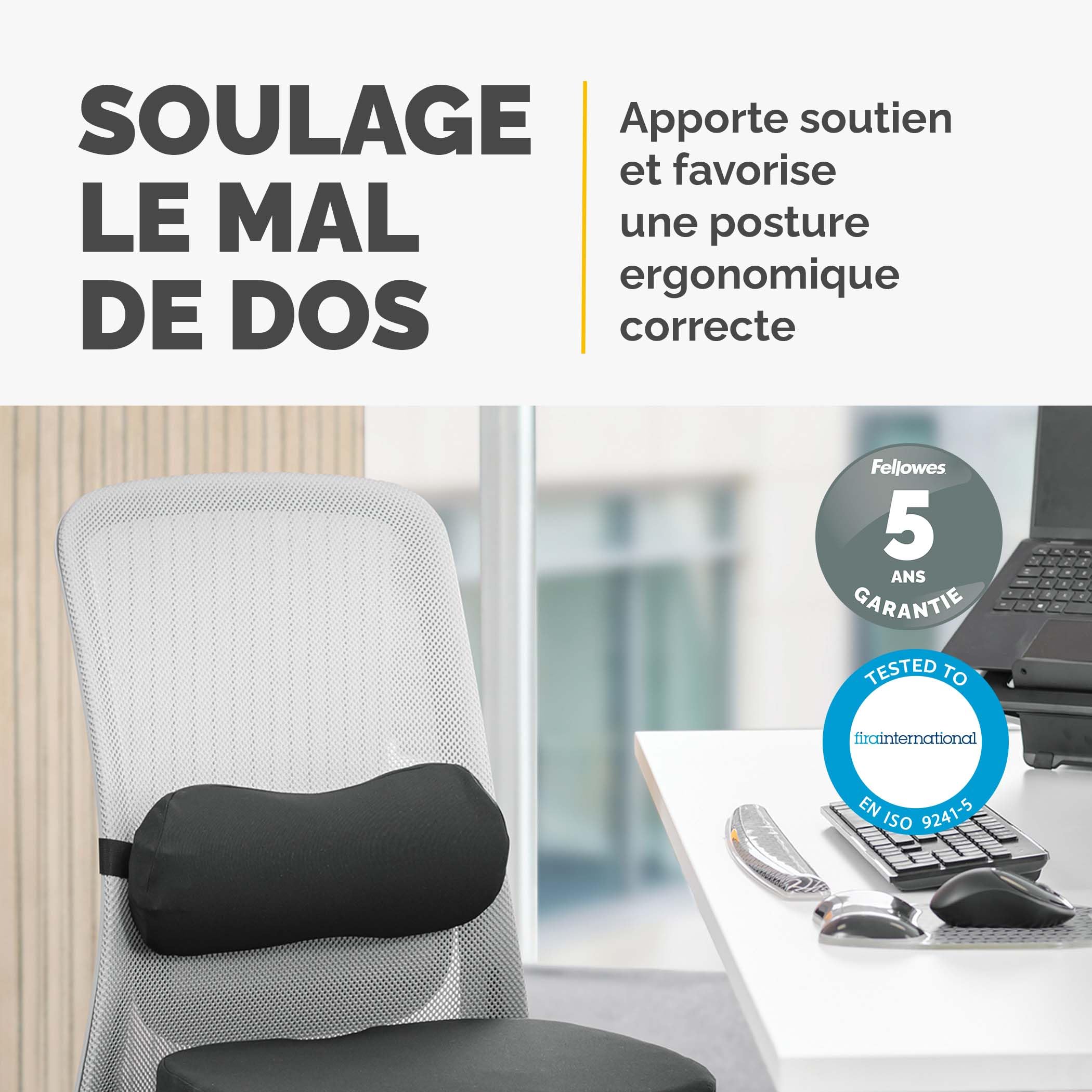 FELLOWES Coussin lombaire Breyta