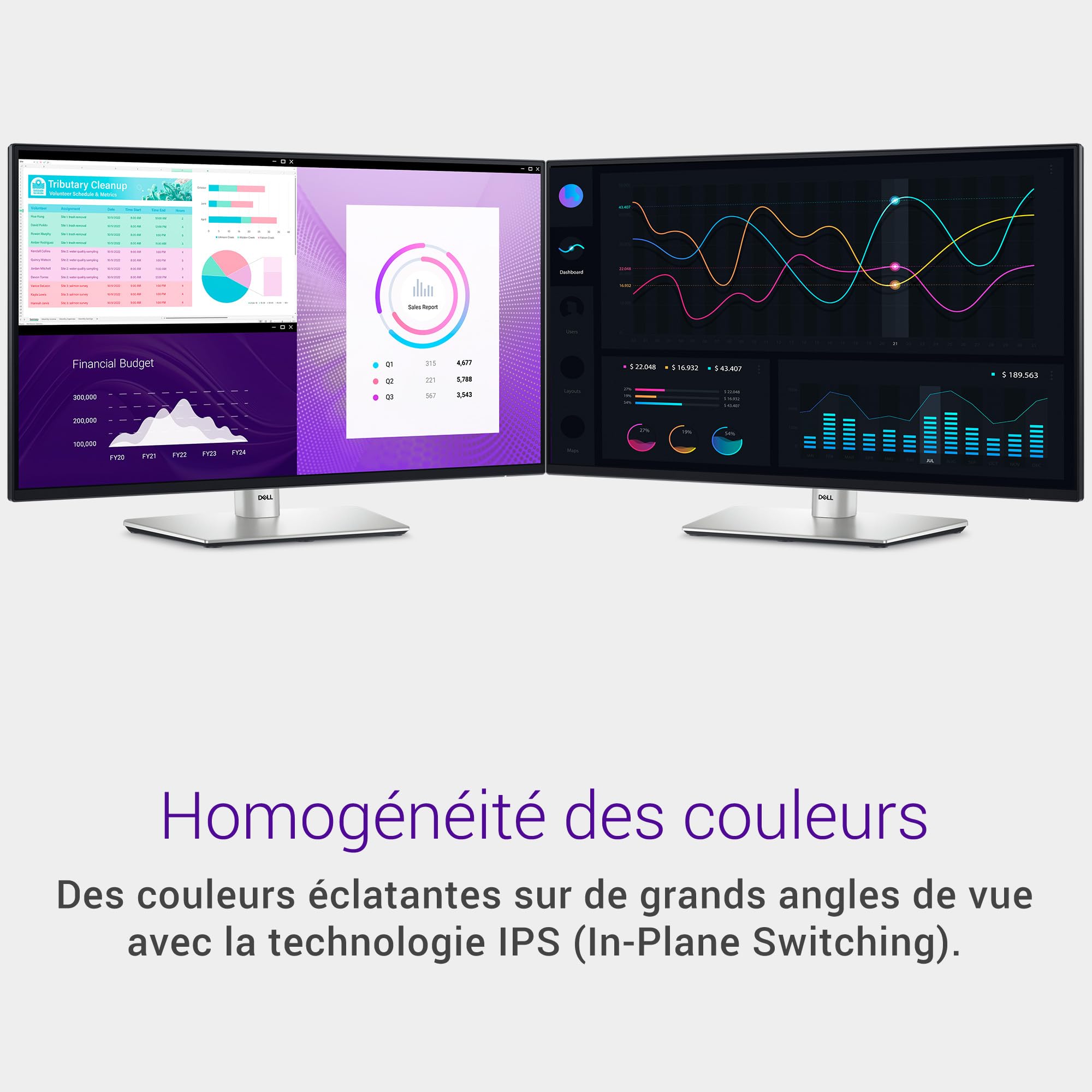 Dell 24" P2425H FHD Monitor