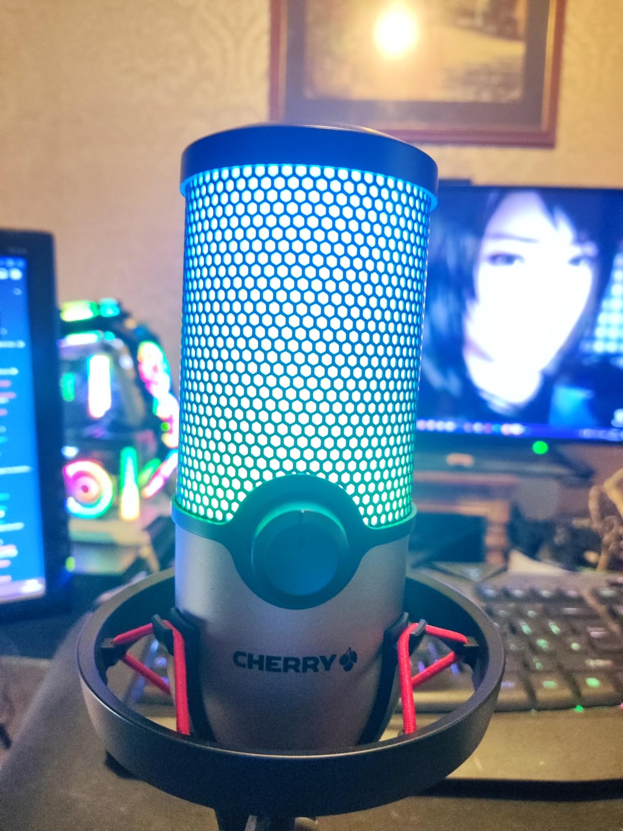 CHERRY Microphone UM 3.0 USB cardioïde