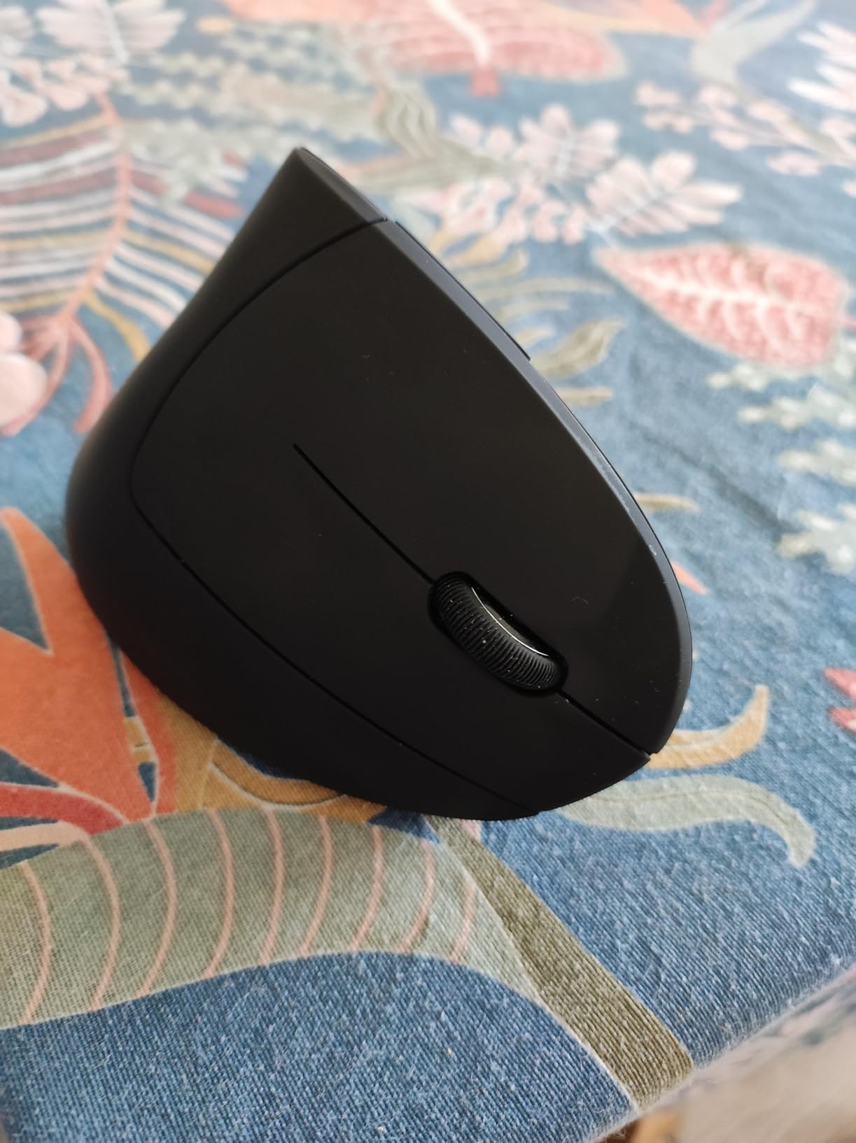 TRUST Souris sans fil ergonomique VERTO - Noire