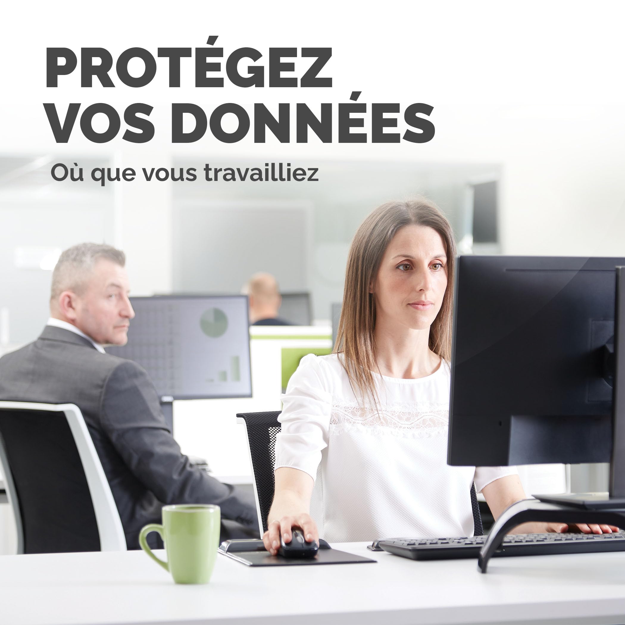 FELLOWES 23.8IN - 16.9 FILTRE PRIVASCREEN