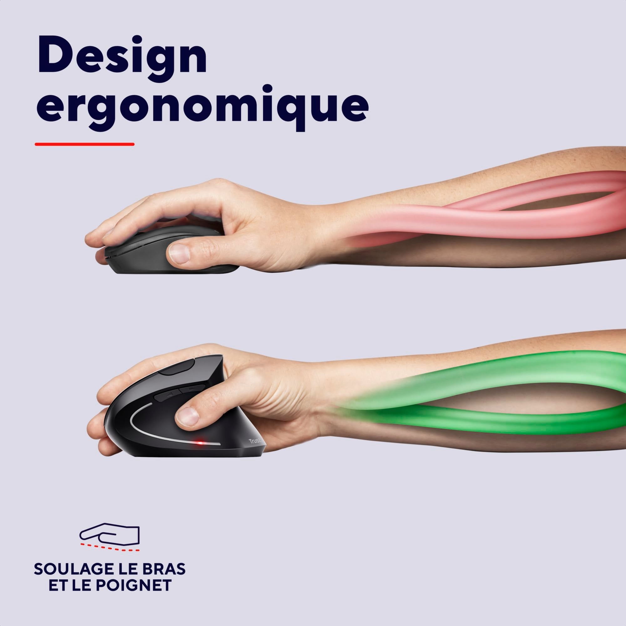 TRUST Souris sans fil ergonomique VERTO - Noire
