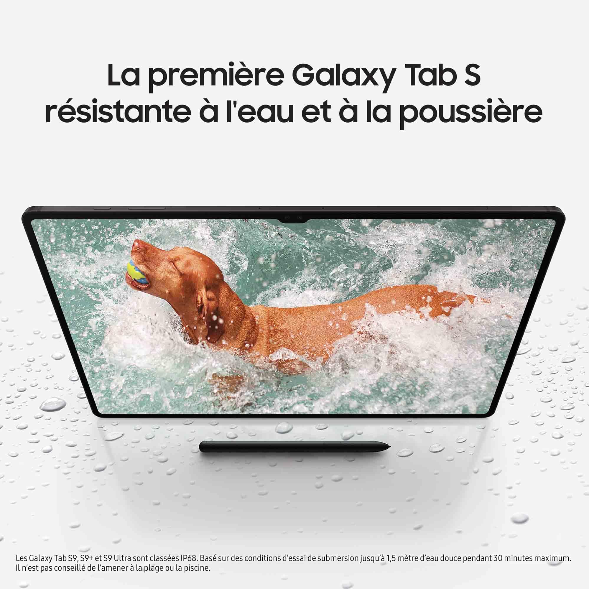 "Samsung Galaxy Tab S9 SM-X710N Snapdragon 128 Go 27,9 cm (11"") 8 Go Wi-Fi 6 (802.11ax) Android 13 Graphite"