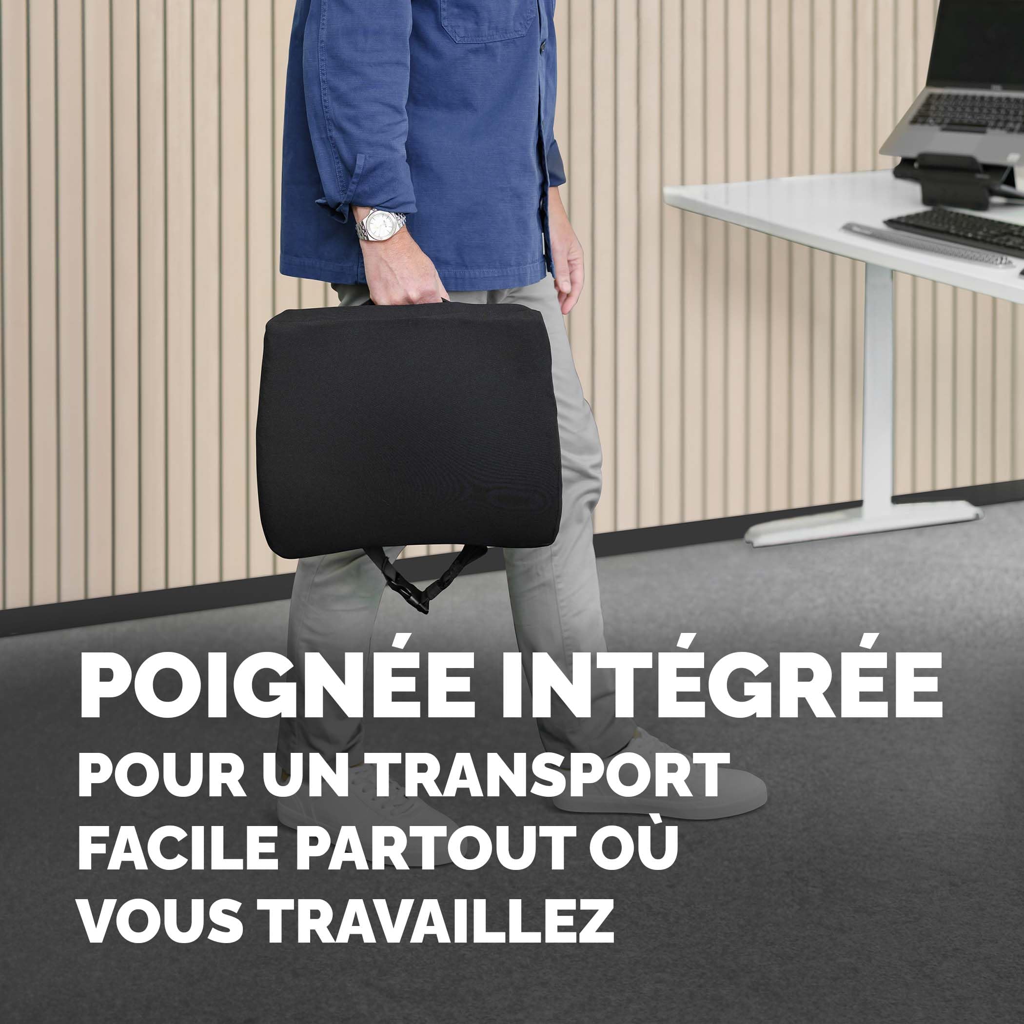 FELLOWES Coussin dorsal Breyta