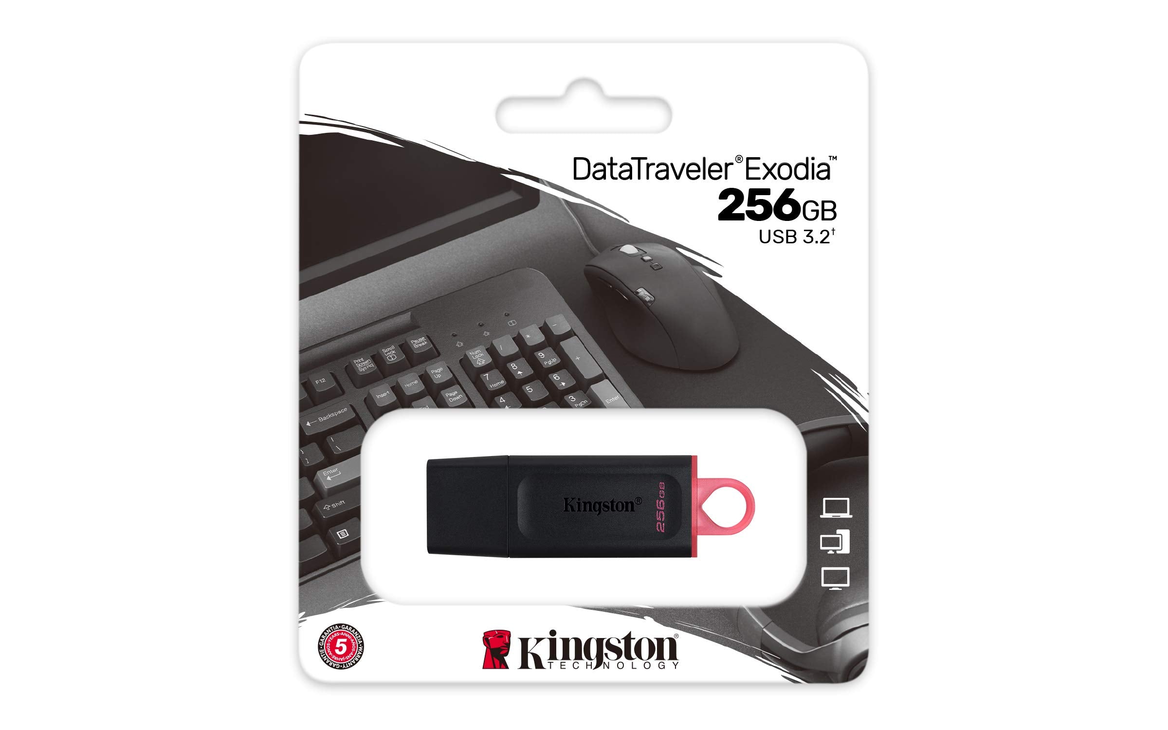 KINGSTON 256Go USB3.2 Gen1 DataTraveler Exodia Black + Pink