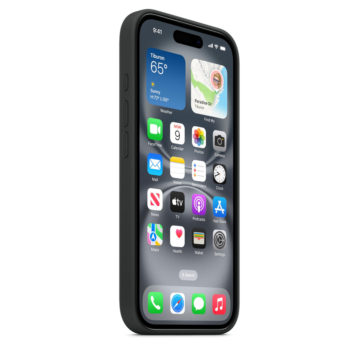 iPhone 16 Si Case Black