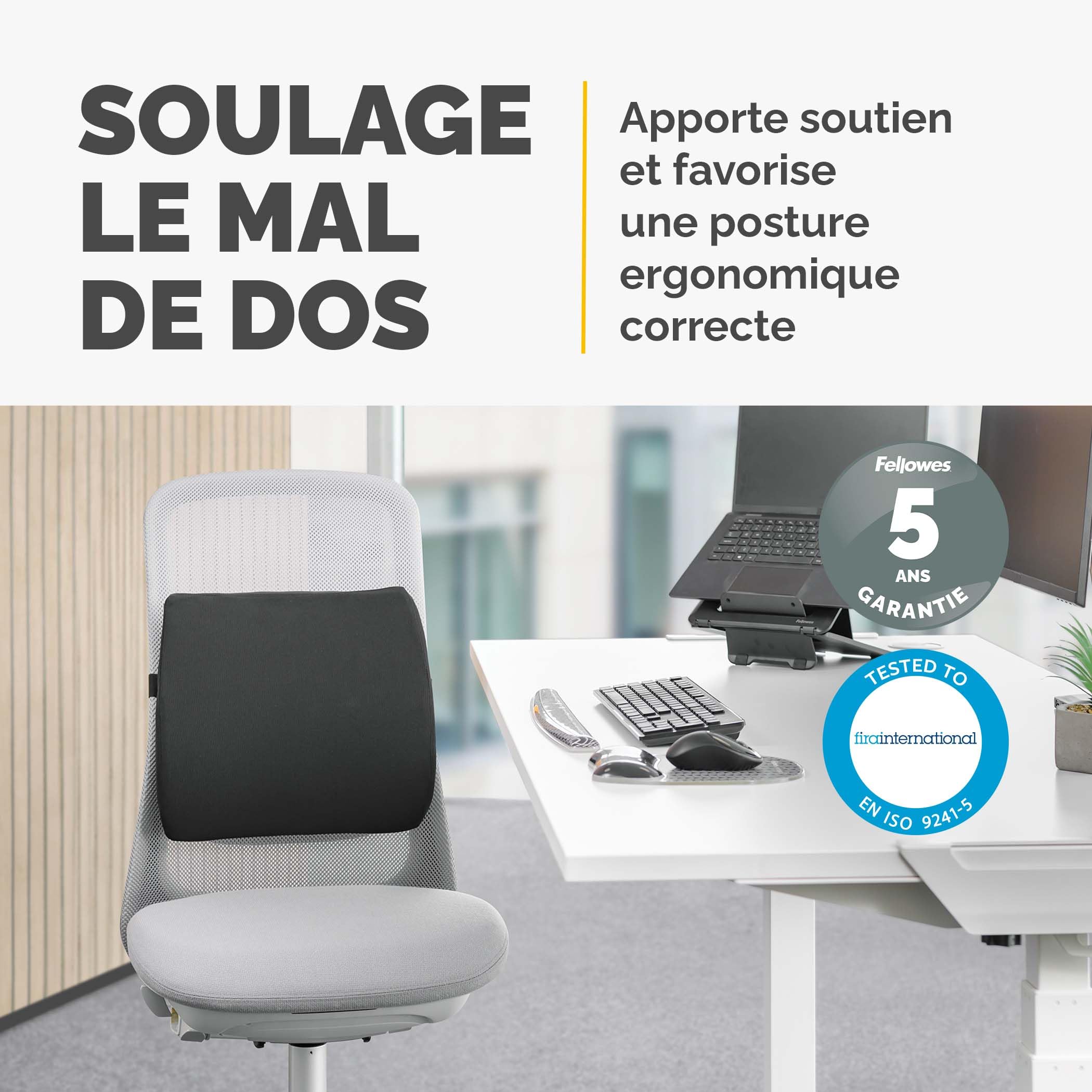 FELLOWES Coussin dorsal Breyta