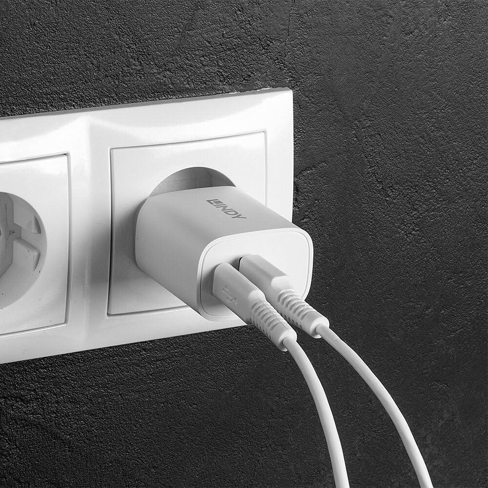 LINDY 20W USB Type A & C Charger
