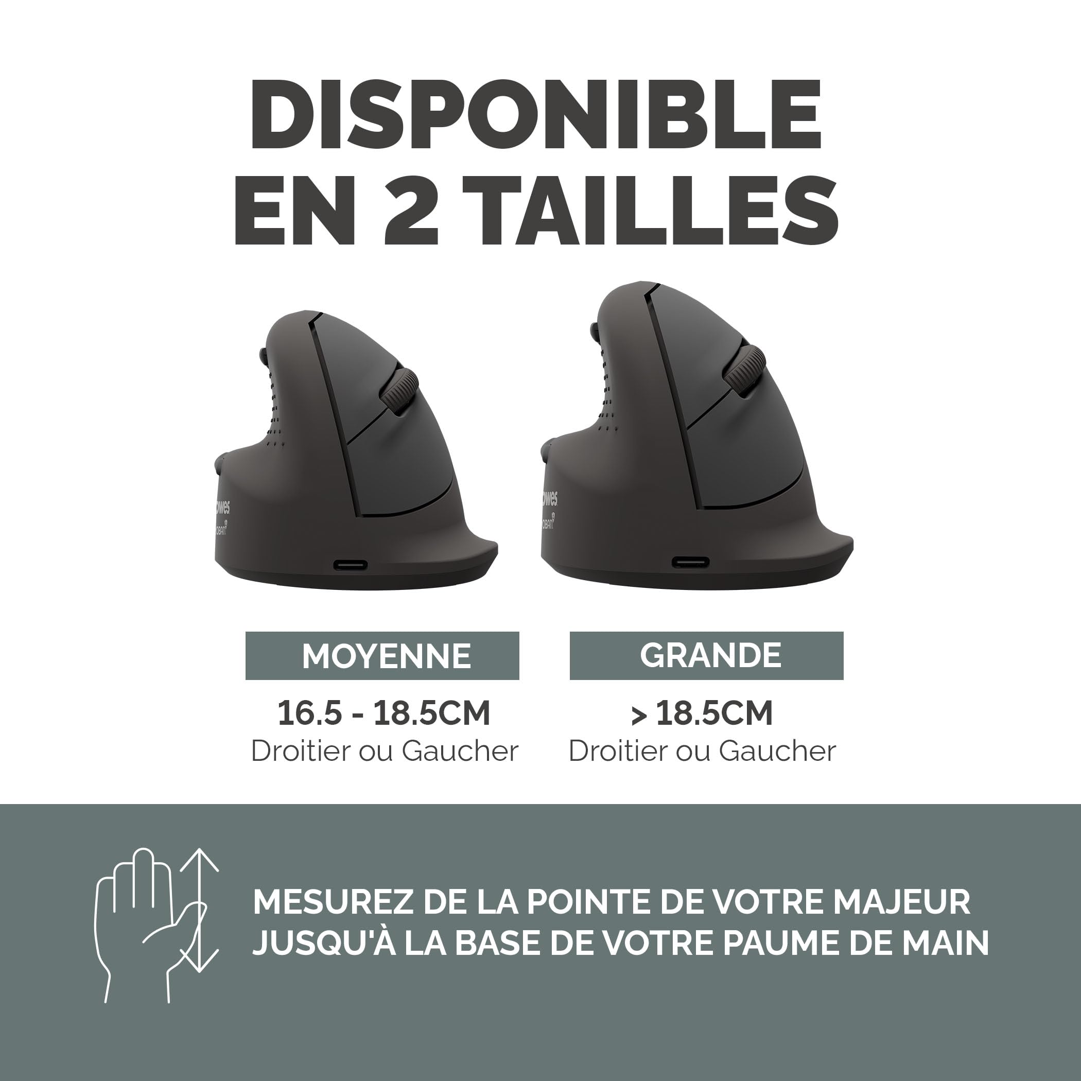 FELLOWES BREYTA PLUS+ SOURIS VERTICALE ERGONOMIQUE - TAILLE LARGE POUR GAUCHER