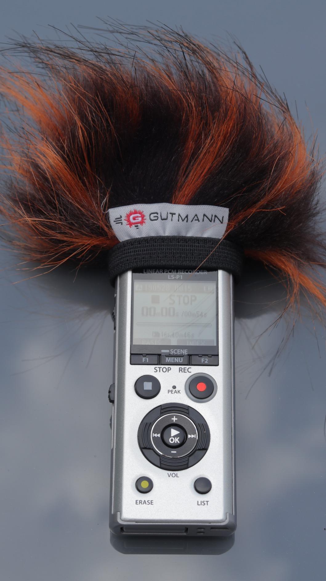 OLYMPUS LS-P1 Linear PCM Recorder incl. Batterie Rechargeable Ni-MH et adapt.