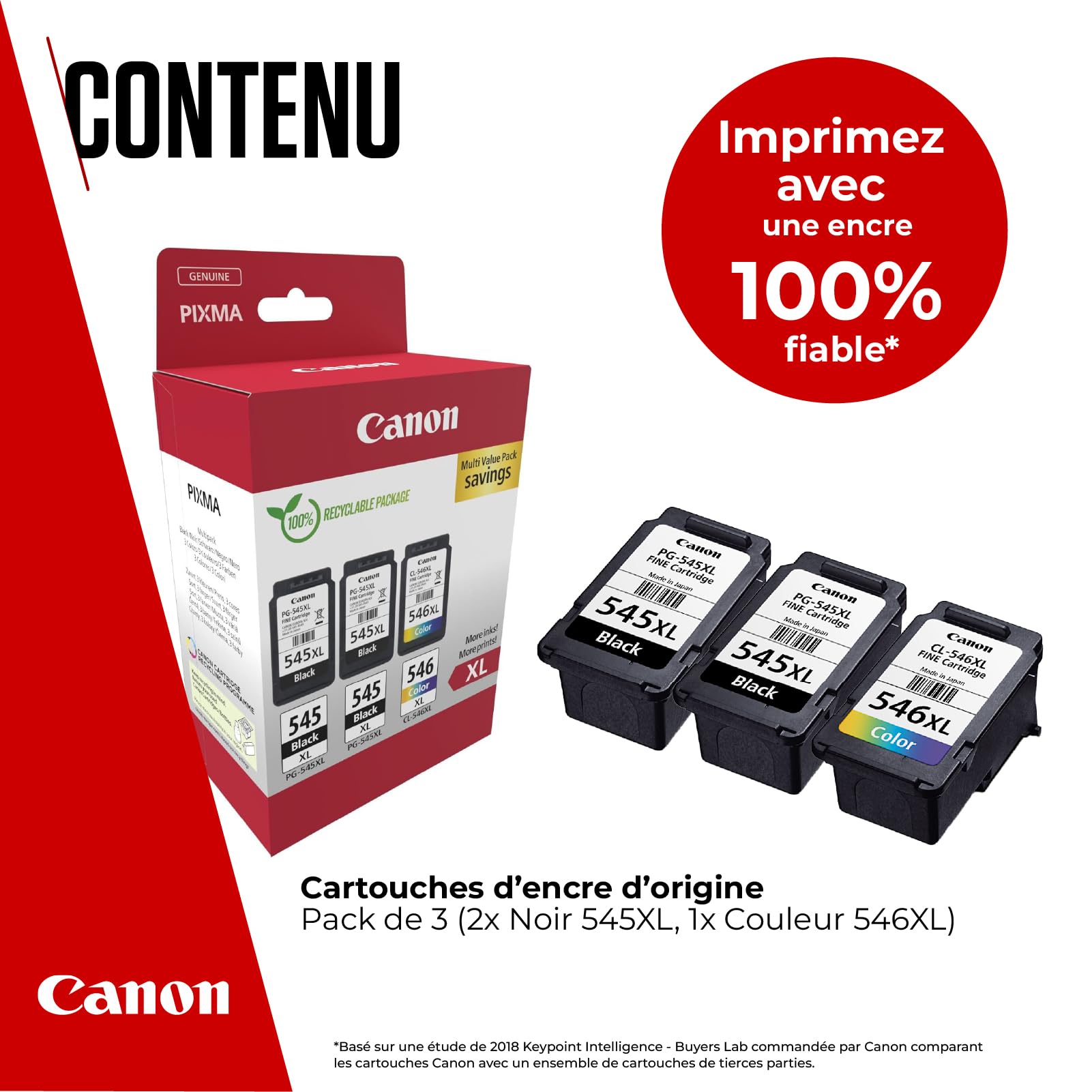 CANON PG-545XLx2/CL-546XL Ink Cartridge MULTI