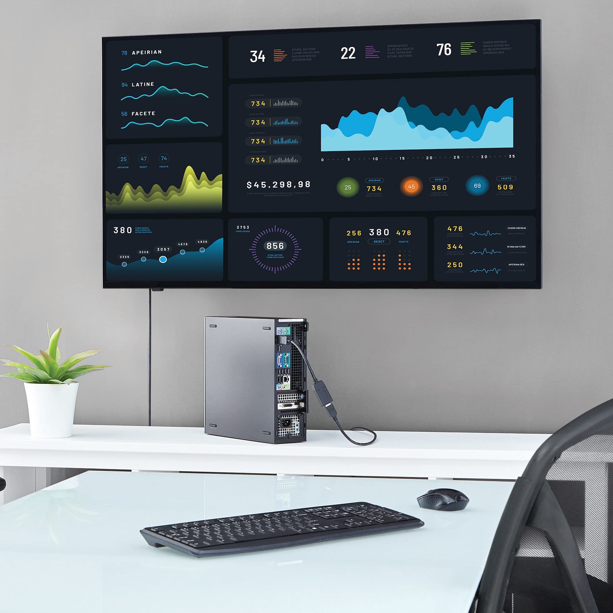 DisplayPort to HDMI Video Converter