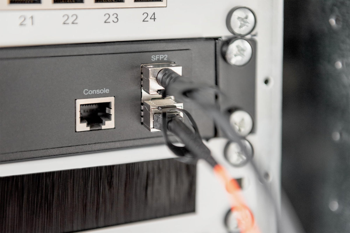Digitus DN-81222 câble InfiniBand et a fibres optiques SFP+ Noir