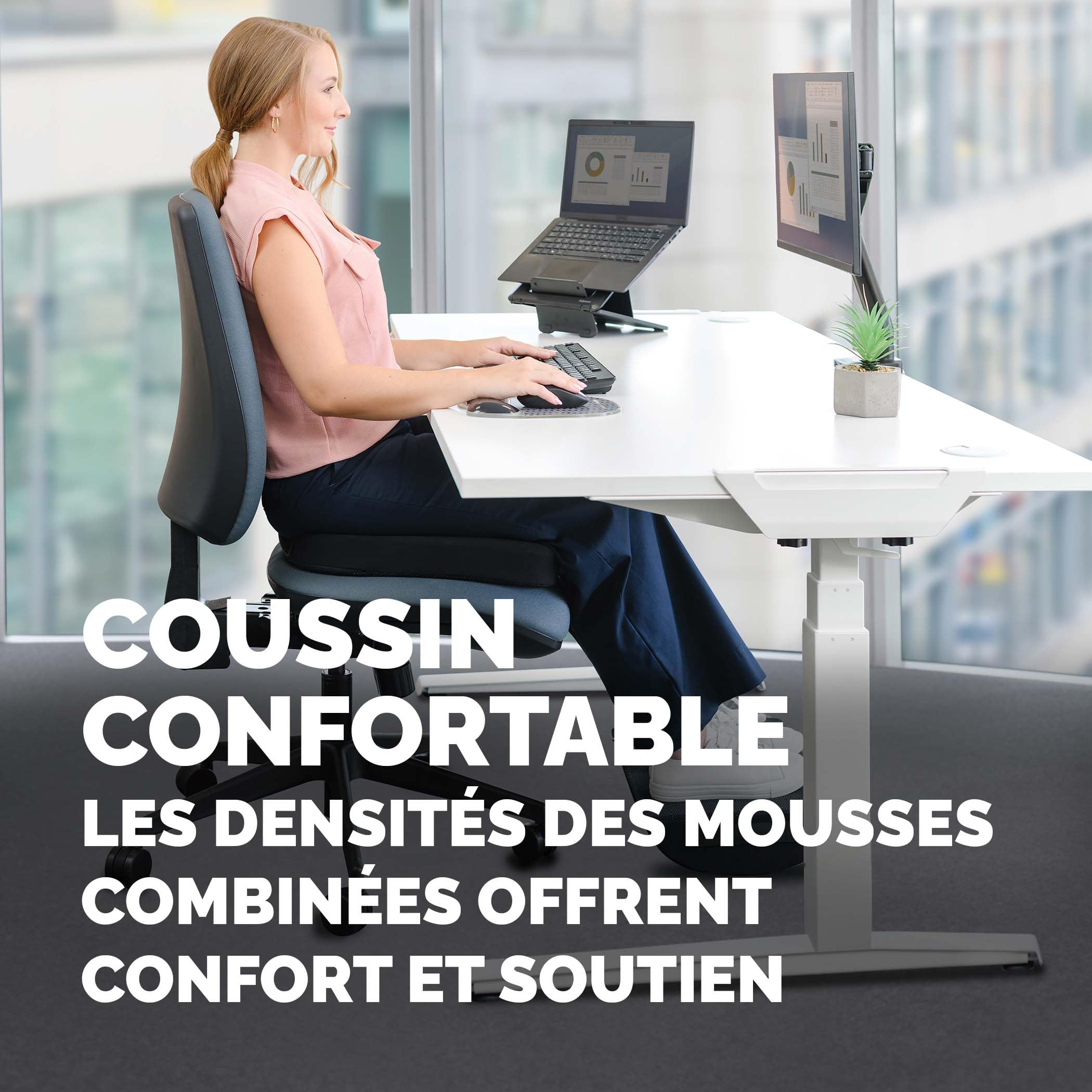 FELLOWES Coussin dassise Breyta