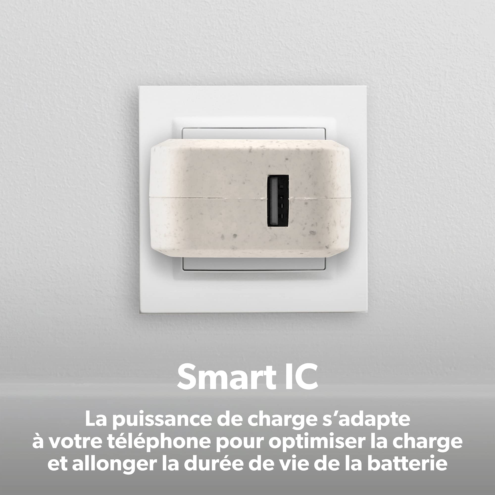 TNB USB Eco-friendly Wall Charger 2.4A Sand