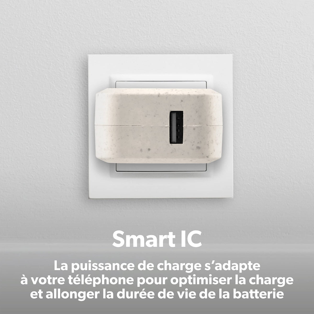 TNB USB Eco-friendly Wall Charger 2.4A Sand