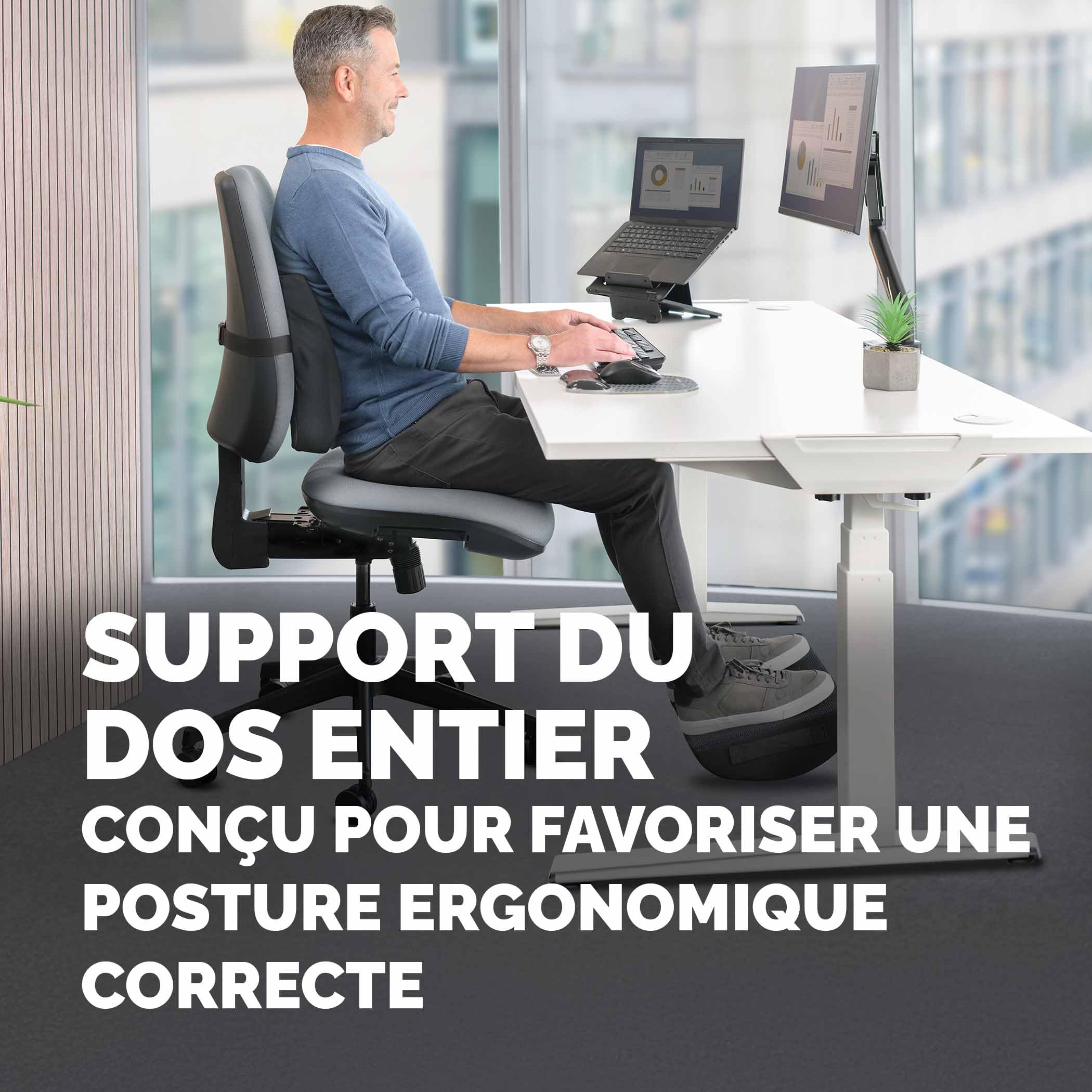 FELLOWES Coussin dorsal Breyta