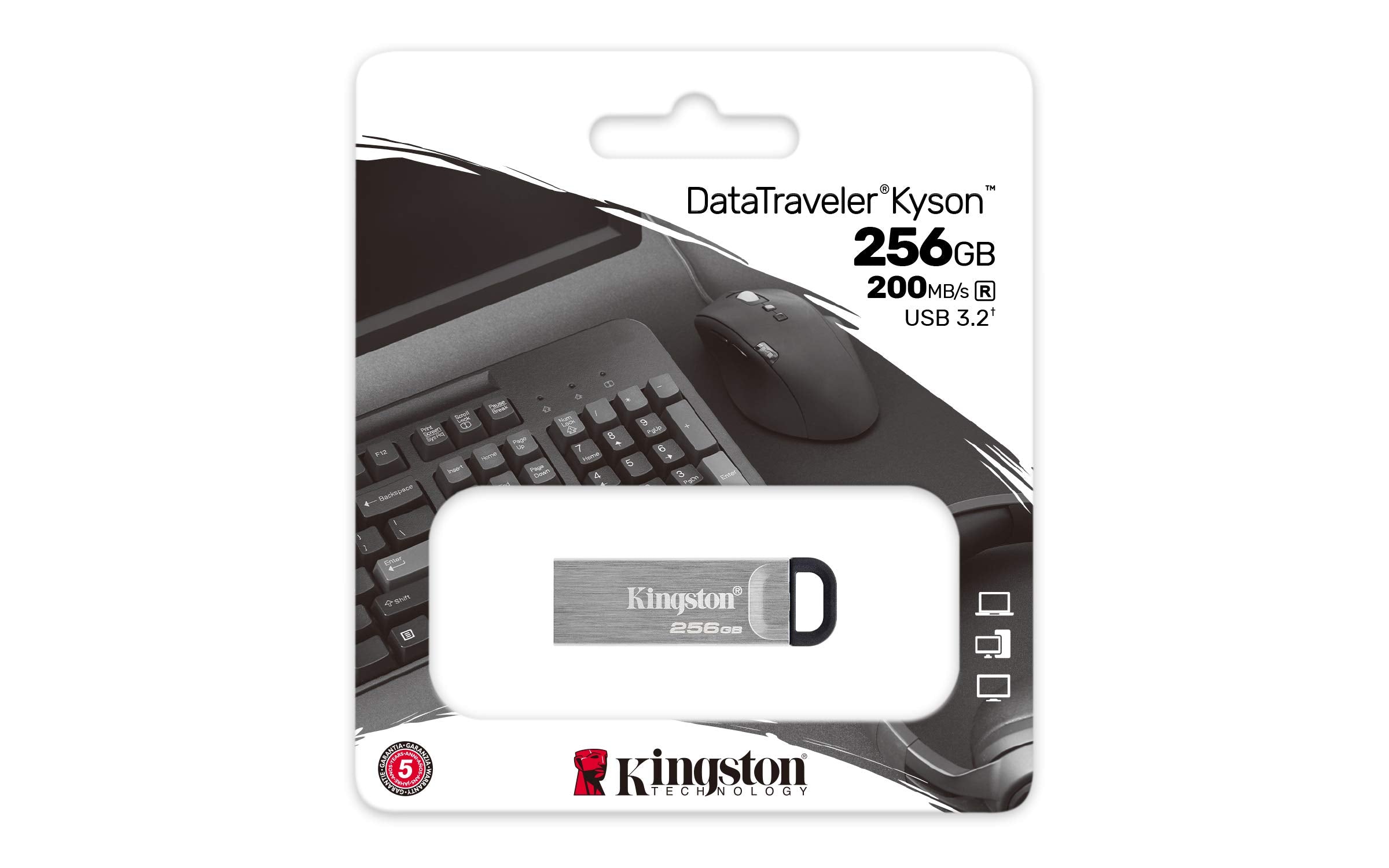 KINGSTON 256Go USB3.2 DataTraveler Gen1 Kyson
