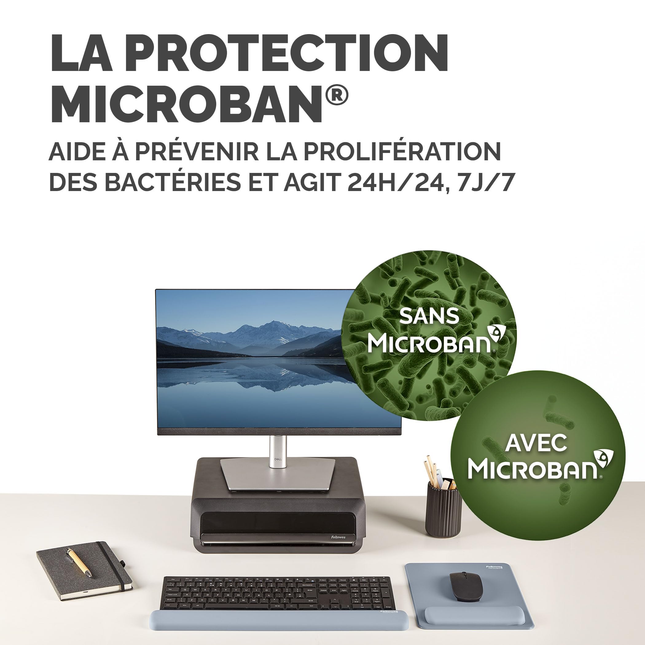 FELLOWES Repose-poignets clavier Breyta - Sauge
