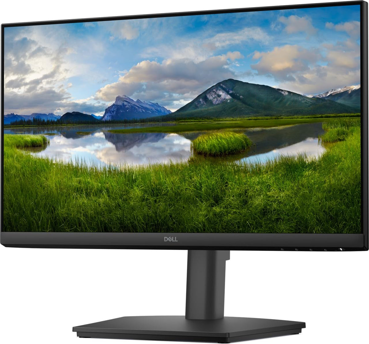 Dell Pro 22" E2225HSM FHD Monitor